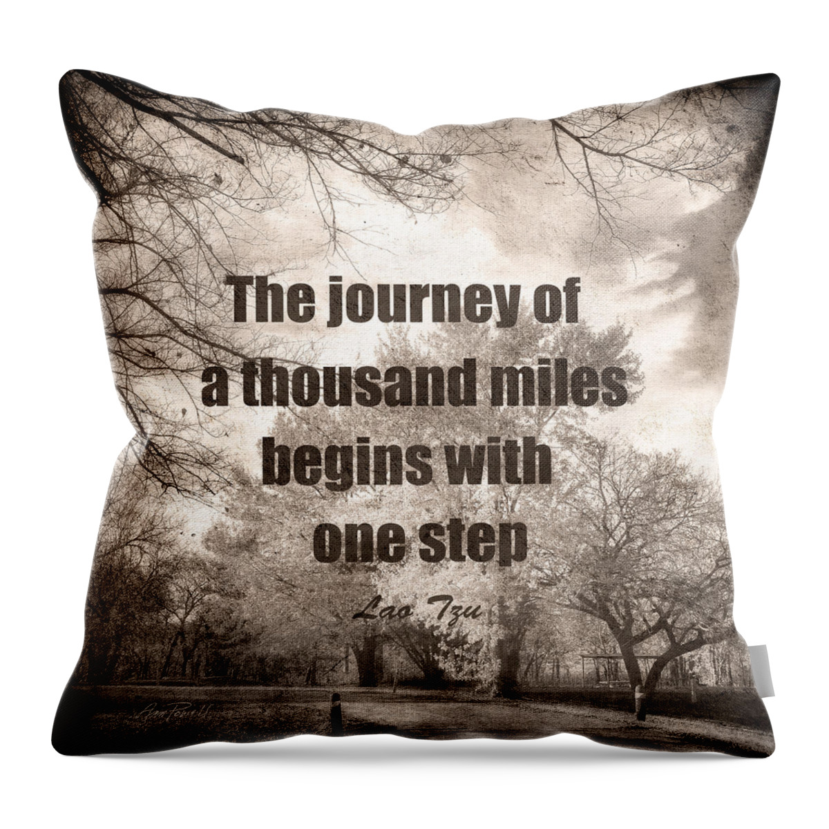 Quote Throw Pillow featuring the photograph The Journey -zen quote photo art by Ann Powell