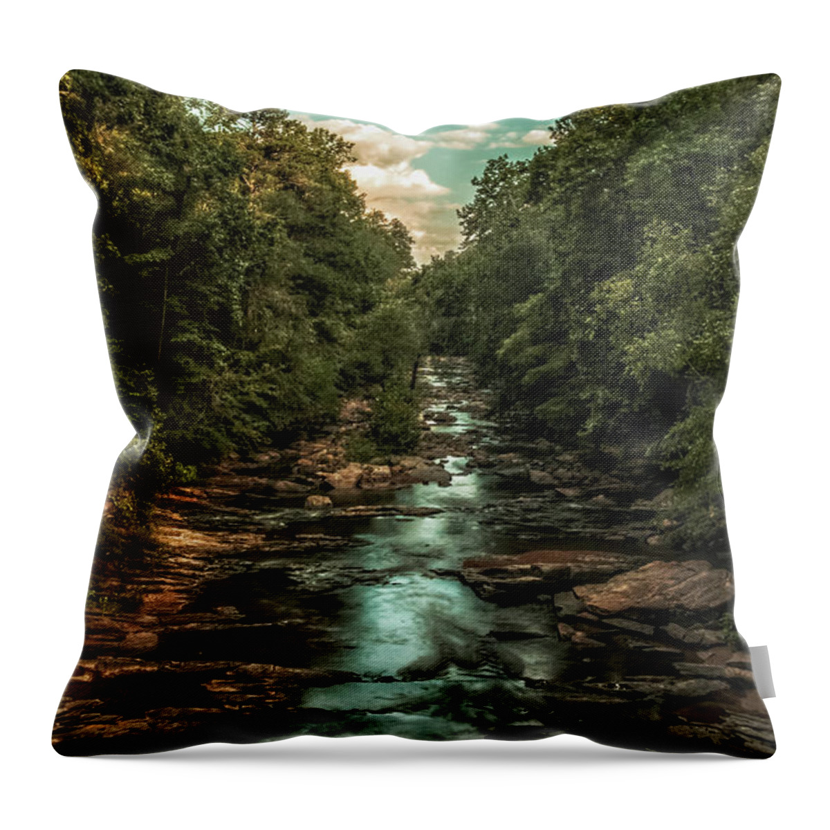 Water Throw Pillow featuring the photograph The Jungle by Mike Dunn