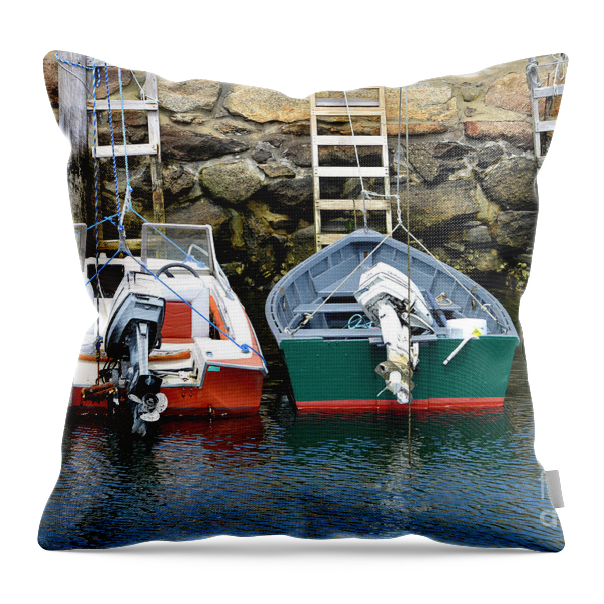 Landscape Throw Pillow featuring the photograph The Ladder by Alison Belsan Horton