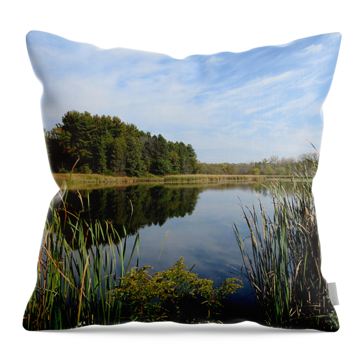 Cadiz Springs Throw Pillow featuring the photograph The Lake at Cadiz Springs by Kimberly Mackowski