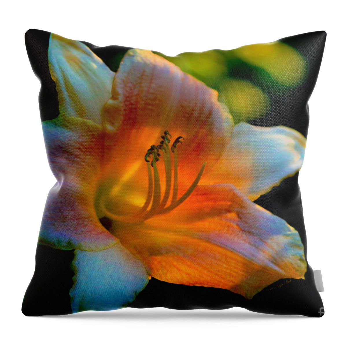 Fine Art Photography Throw Pillow featuring the photograph The Last Days of Summer by Patricia Griffin Brett