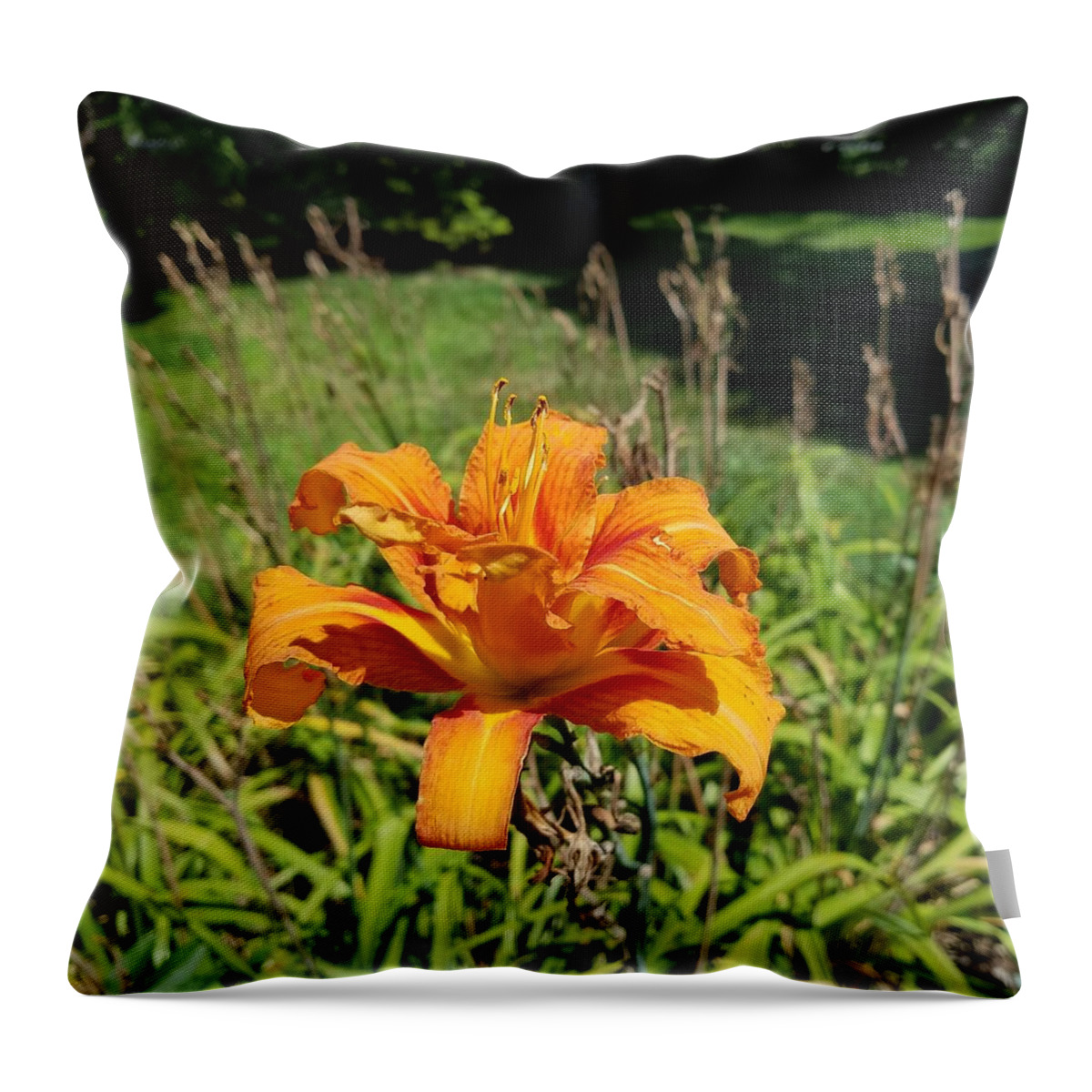 Lilly Throw Pillow featuring the photograph The Last Lilly by Vic Ritchey