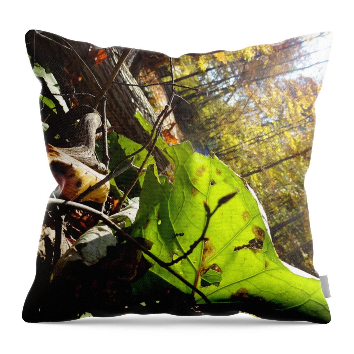 Fall Leaves Throw Pillow featuring the photograph The last of the Green by Trish Hale