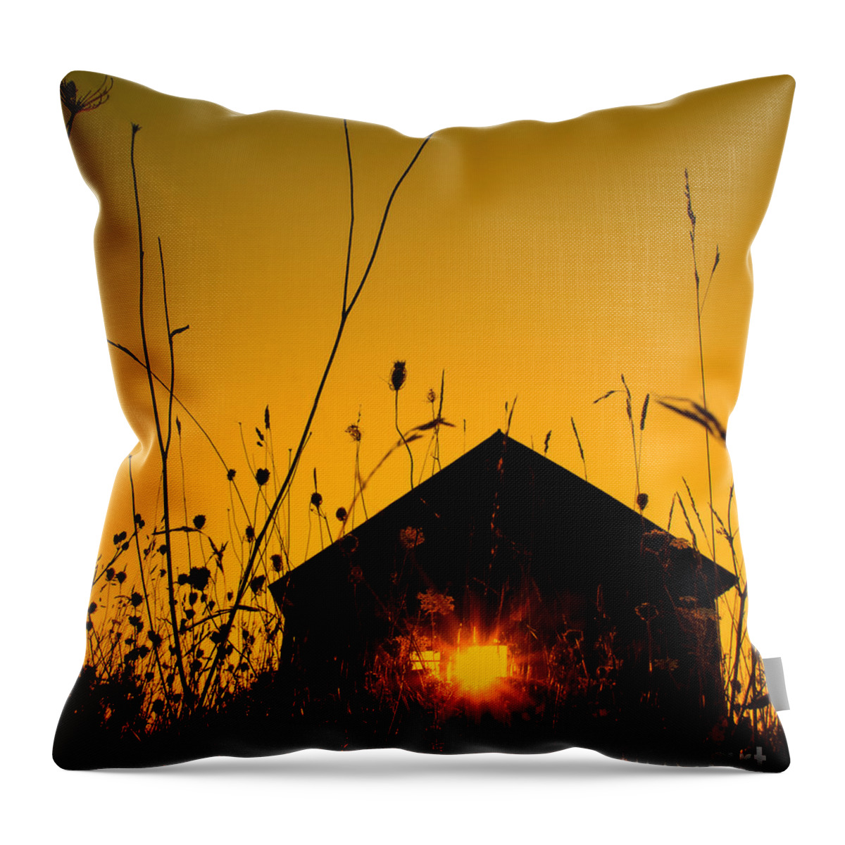 Yellow Throw Pillow featuring the photograph The Last Sunset by Terry Doyle
