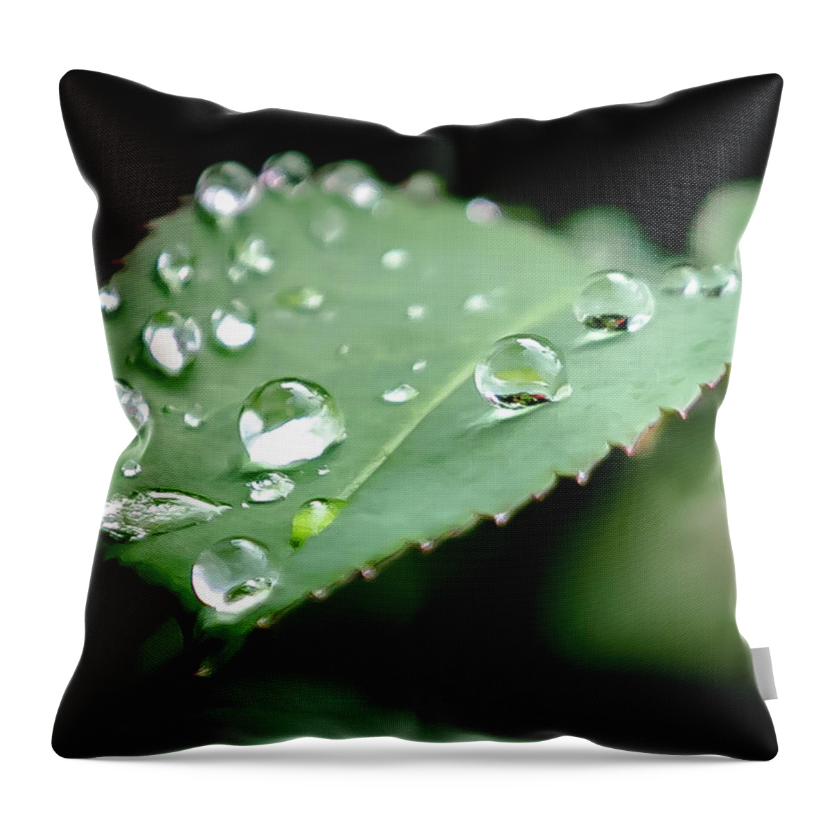 Leaf Throw Pillow featuring the digital art The Leaf and the Raindrops by Ed Stines