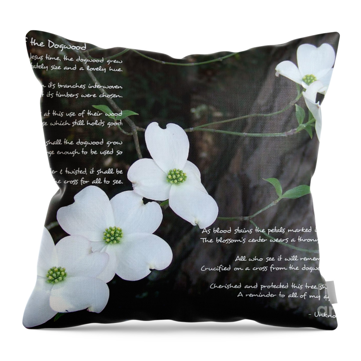 Dogwood Throw Pillow featuring the photograph The legend of the Dogwood by Andrea Anderegg