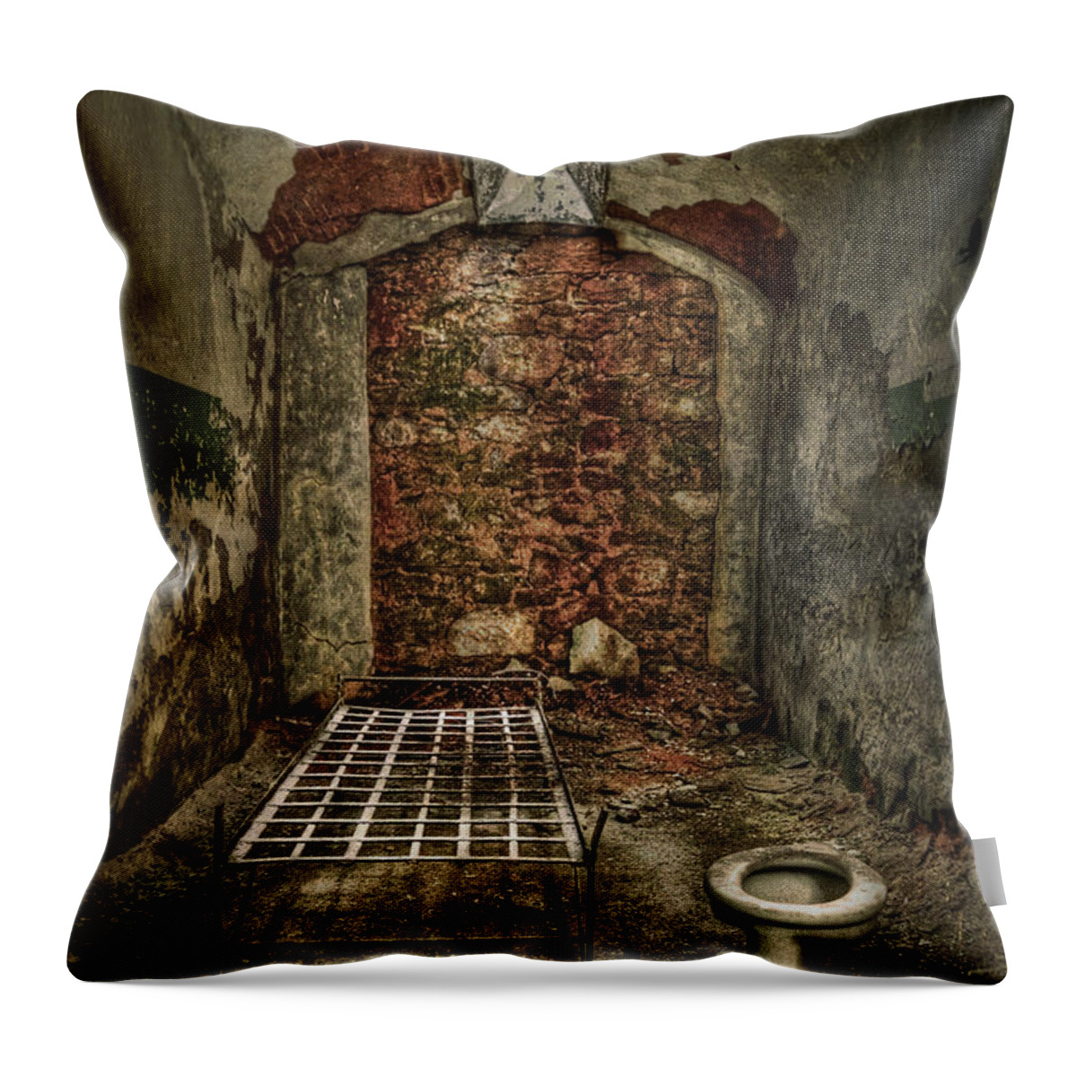 Jail Throw Pillow featuring the photograph The Life of Crime by Evelina Kremsdorf