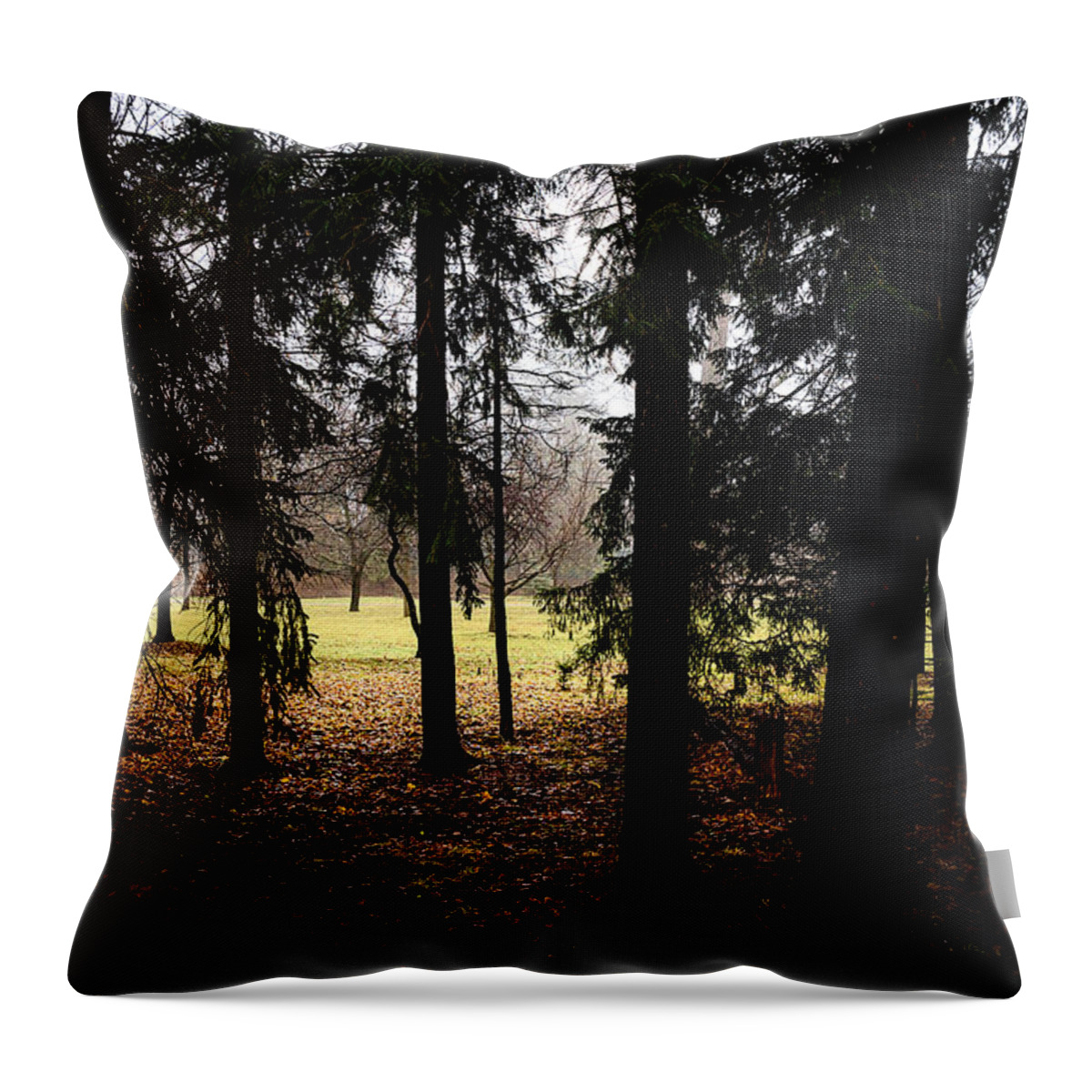 Trees Throw Pillow featuring the photograph The Light After the Woods by Celso Bressan