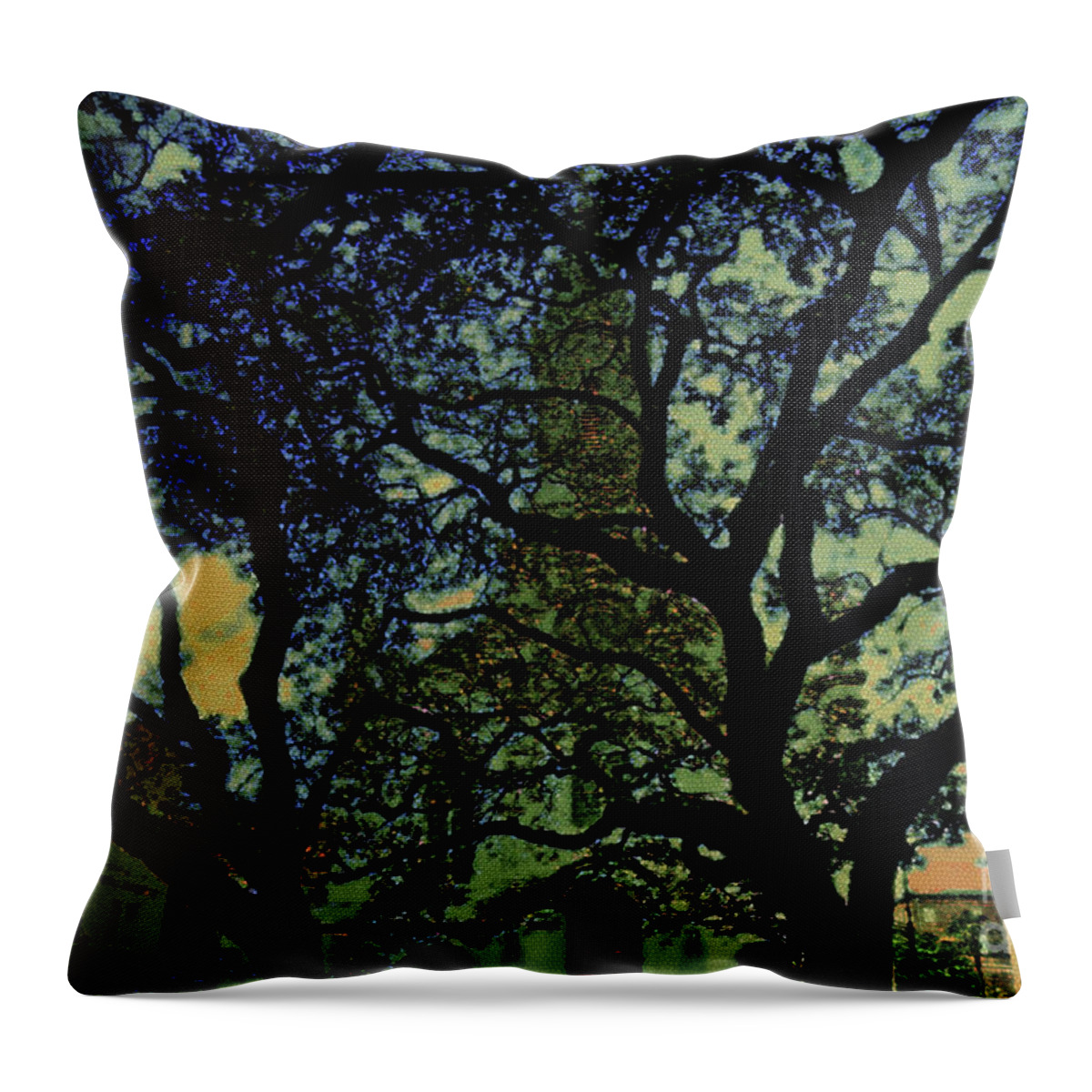Digital Art Throw Pillow featuring the photograph The Light and Dark of a Landmark by Lydia Holly