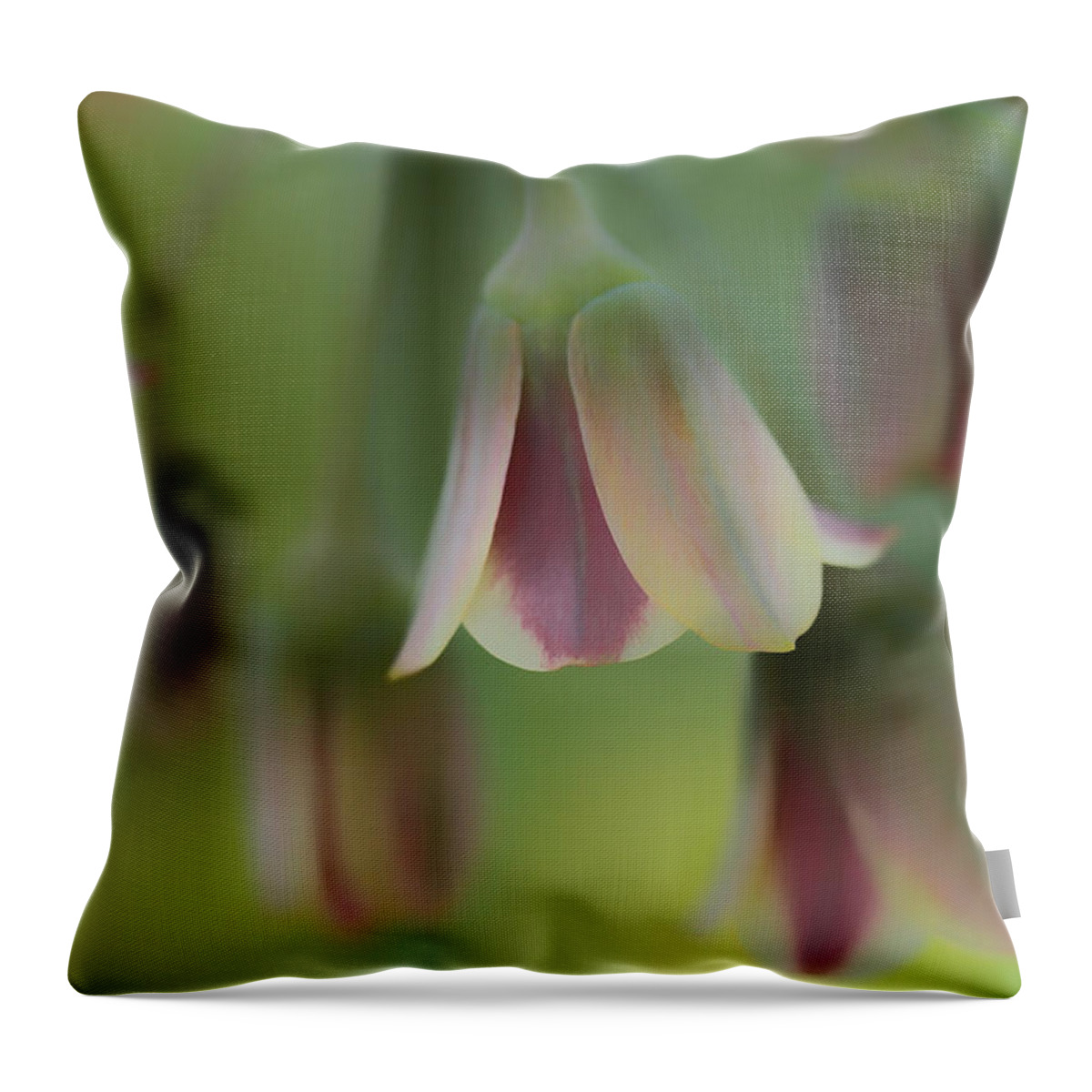 Connie Handscomb Throw Pillow featuring the photograph The Light Inside The Belfry by Connie Handscomb