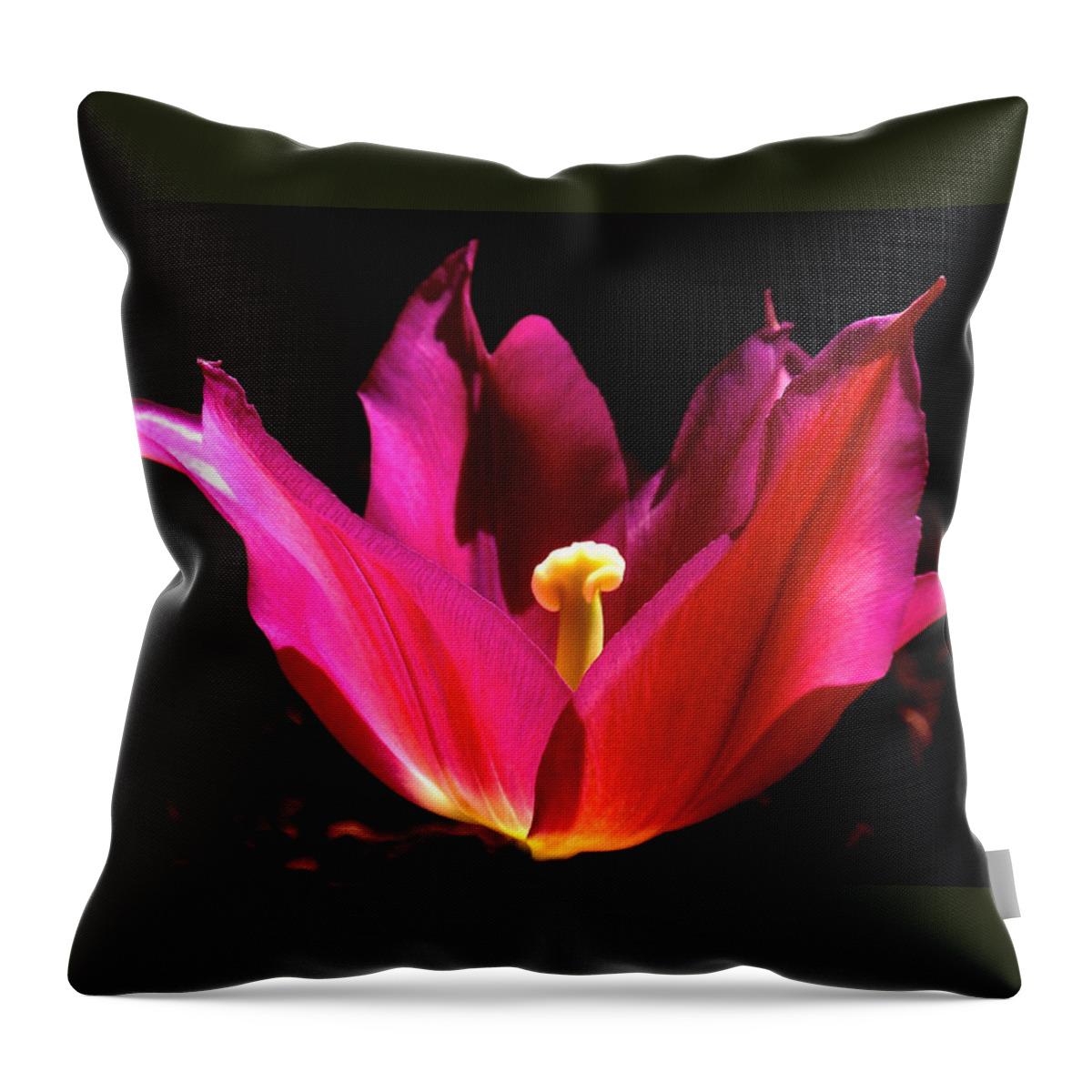 Tulip Throw Pillow featuring the photograph The Light of Day by Rona Black