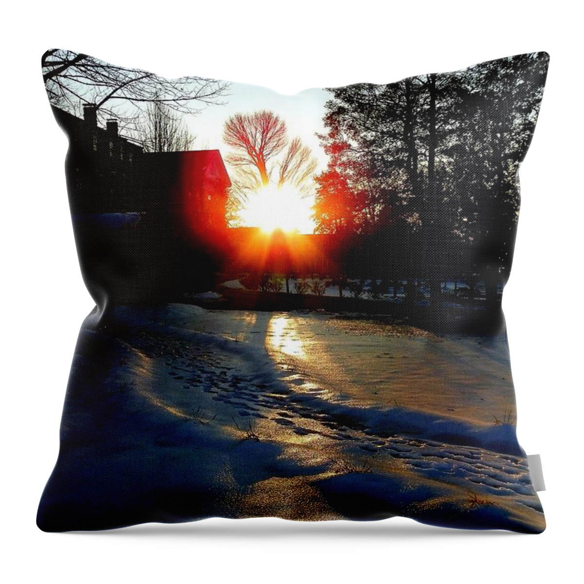 Snow Throw Pillow featuring the photograph The Lighted Path by Karen Wiles