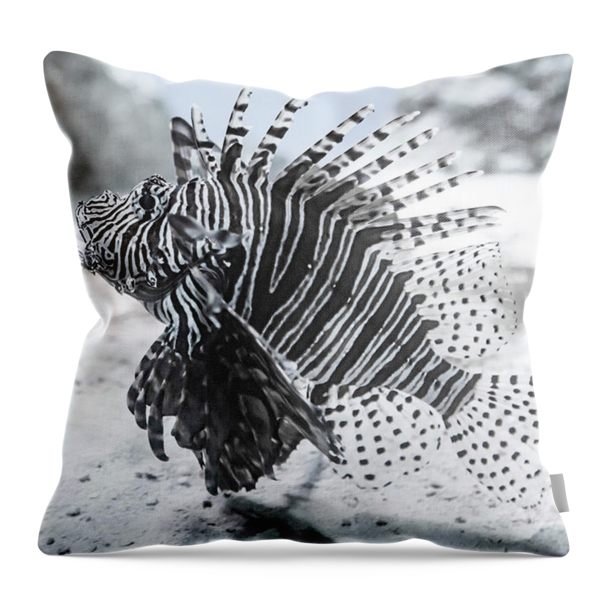 Lion Throw Pillow featuring the photograph The Lion by Betsy Knapp