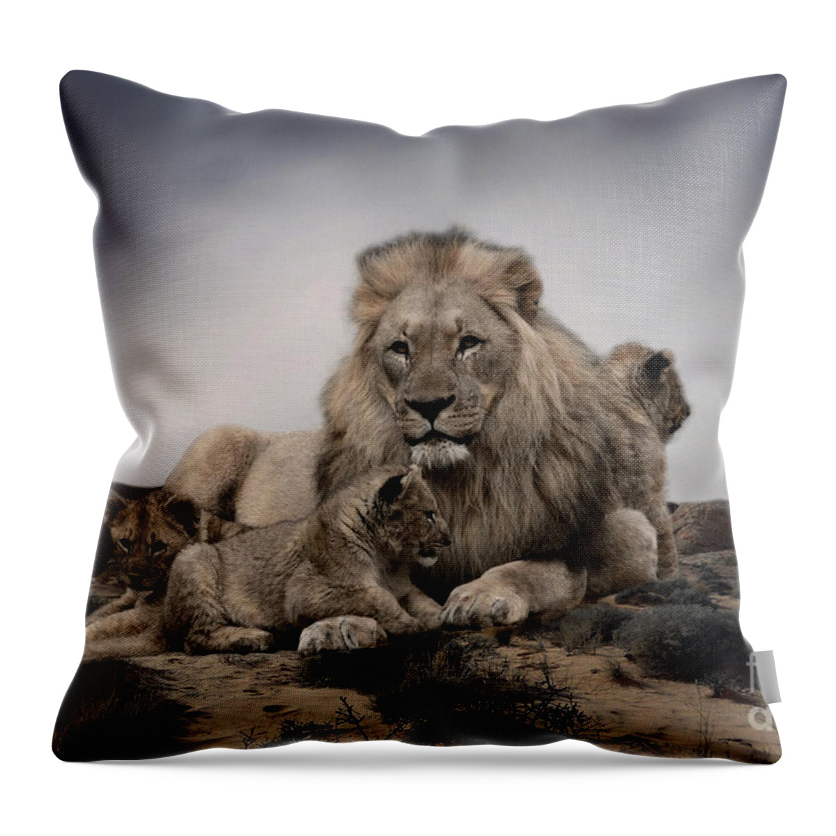 Lions Throw Pillow featuring the photograph The Lions by Christine Sponchia