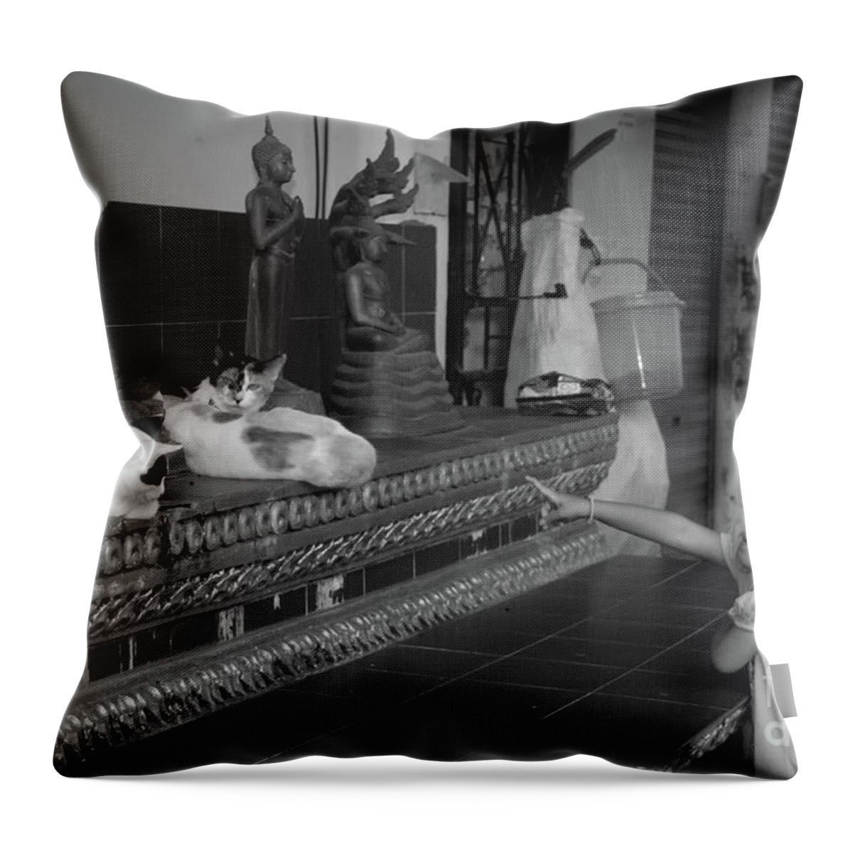 Temple's Cats Throw Pillow featuring the photograph The Little Girl And The Temple's Cats by Michelle Meenawong