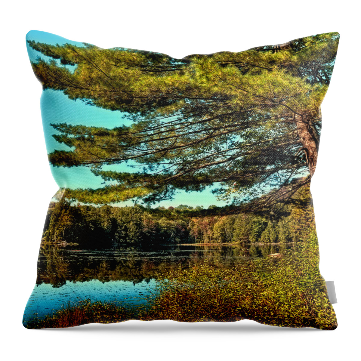 The Little Known Cary Lake Throw Pillow featuring the photograph The Little Known Cary Lake by David Patterson