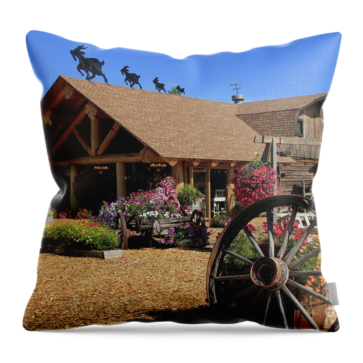 Log Barn Throw Pillow featuring the photograph The Log Barn by Eva Lechner