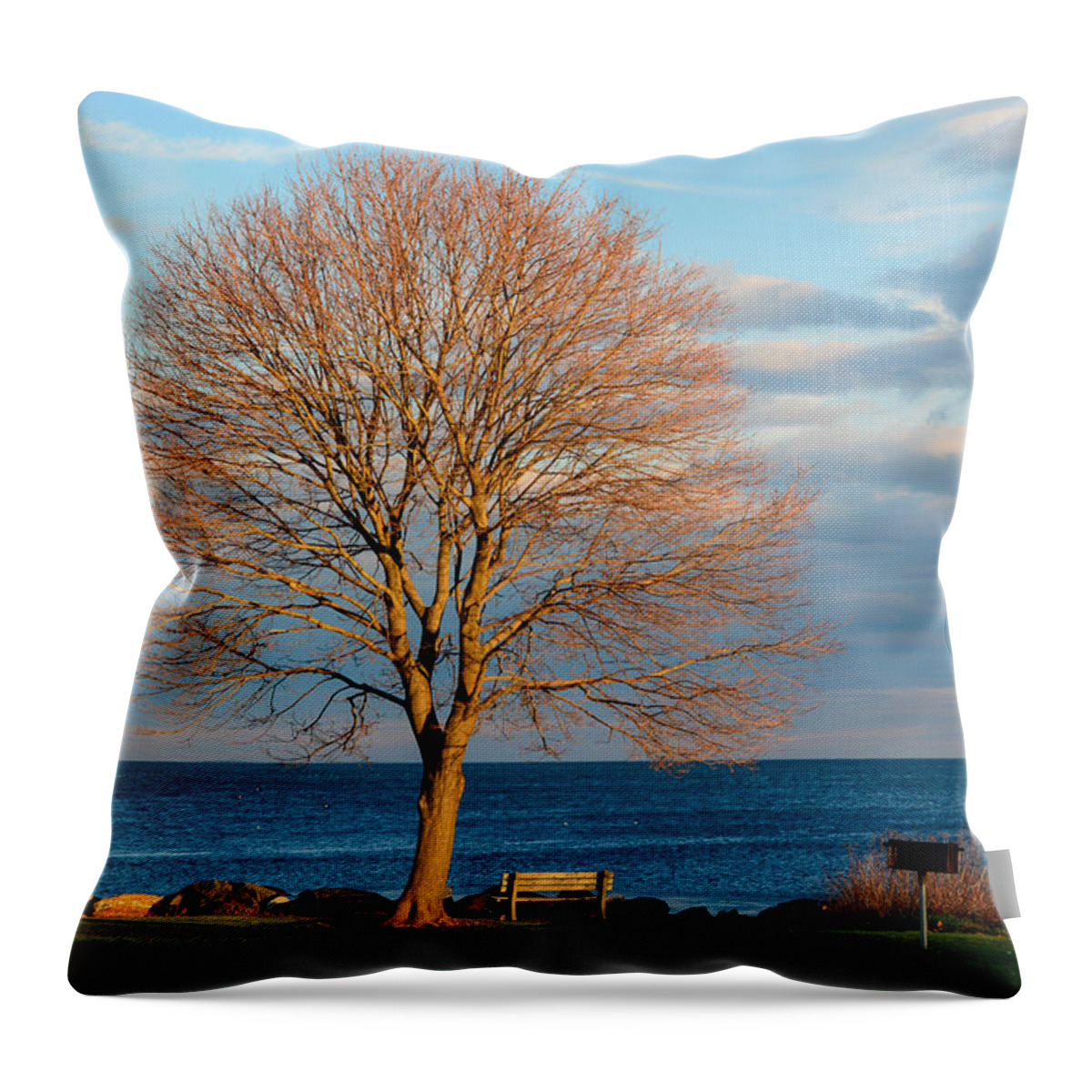 Maple Tree Throw Pillow featuring the photograph The Lone Maple Tree by Nancy De Flon