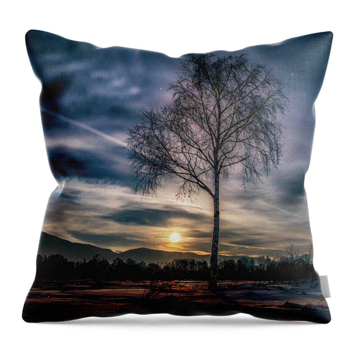 Landscape Throw Pillow featuring the photograph The lonely birch by Plamen Petkov