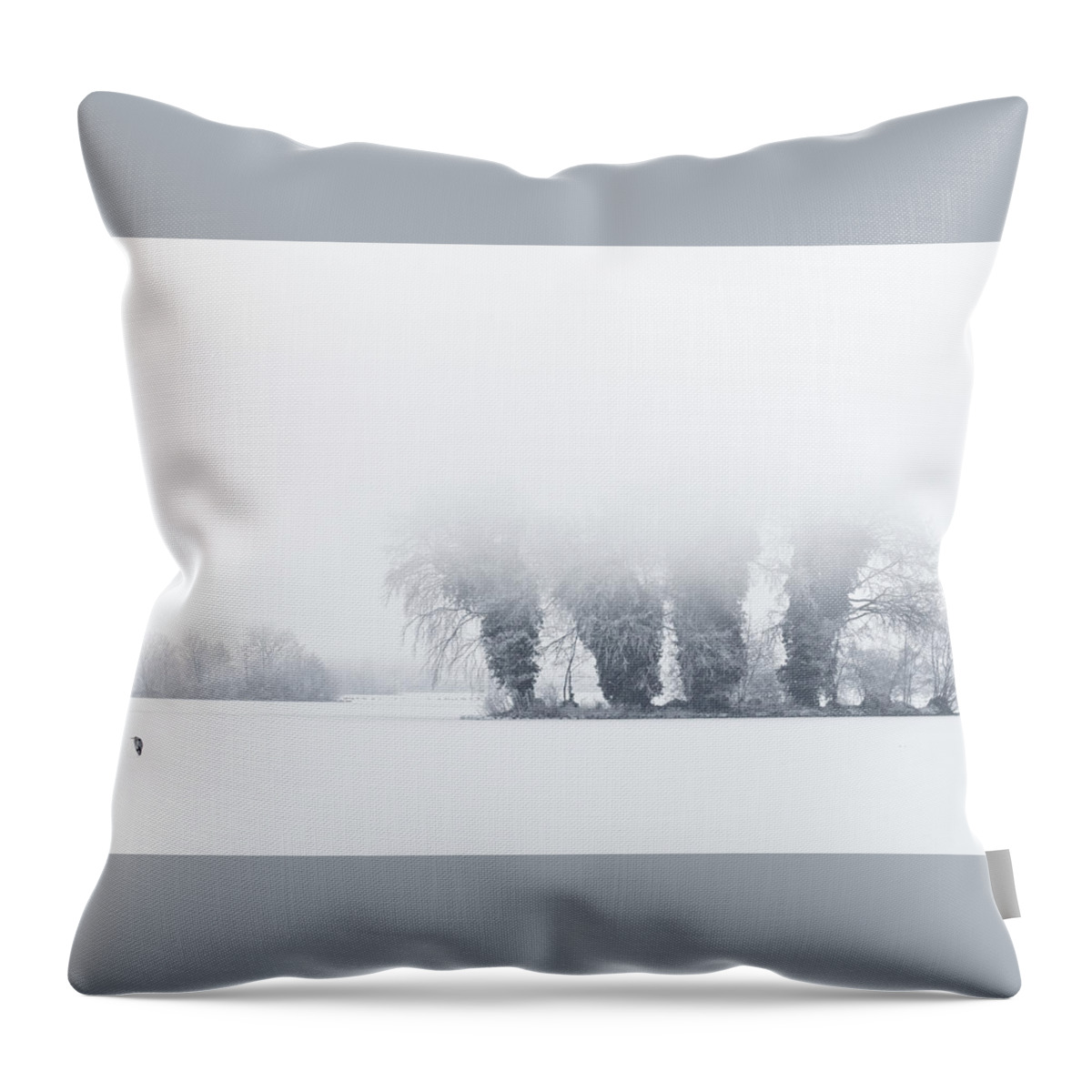 Snow Throw Pillow featuring the photograph The Lonely Heron by Roeselien Raimond