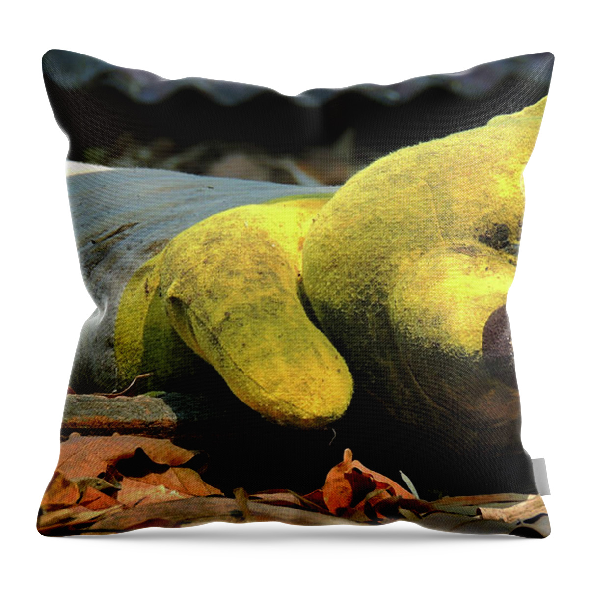 Leaves Throw Pillow featuring the photograph The lonely teddy bear by Jeremy Holton