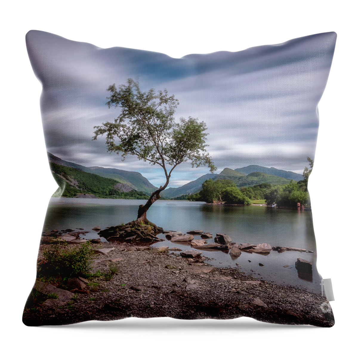 Llyn Padarn Throw Pillow featuring the photograph The lonely tree at Llyn Padarn lake - Part 1 by Mariusz Talarek