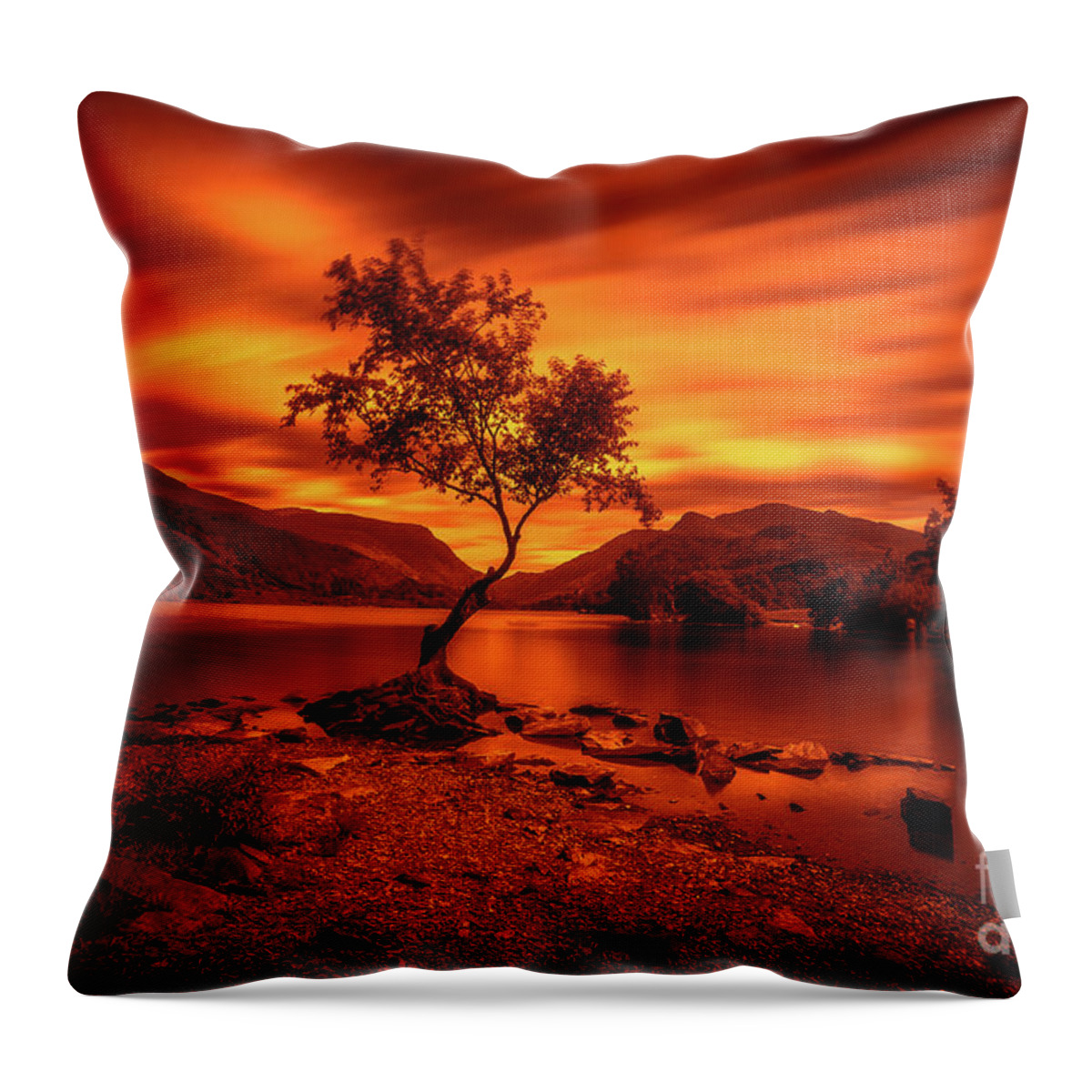 Llyn Padarn Throw Pillow featuring the photograph The lonely tree at Llyn Padarn lake - Part 3 by Mariusz Talarek