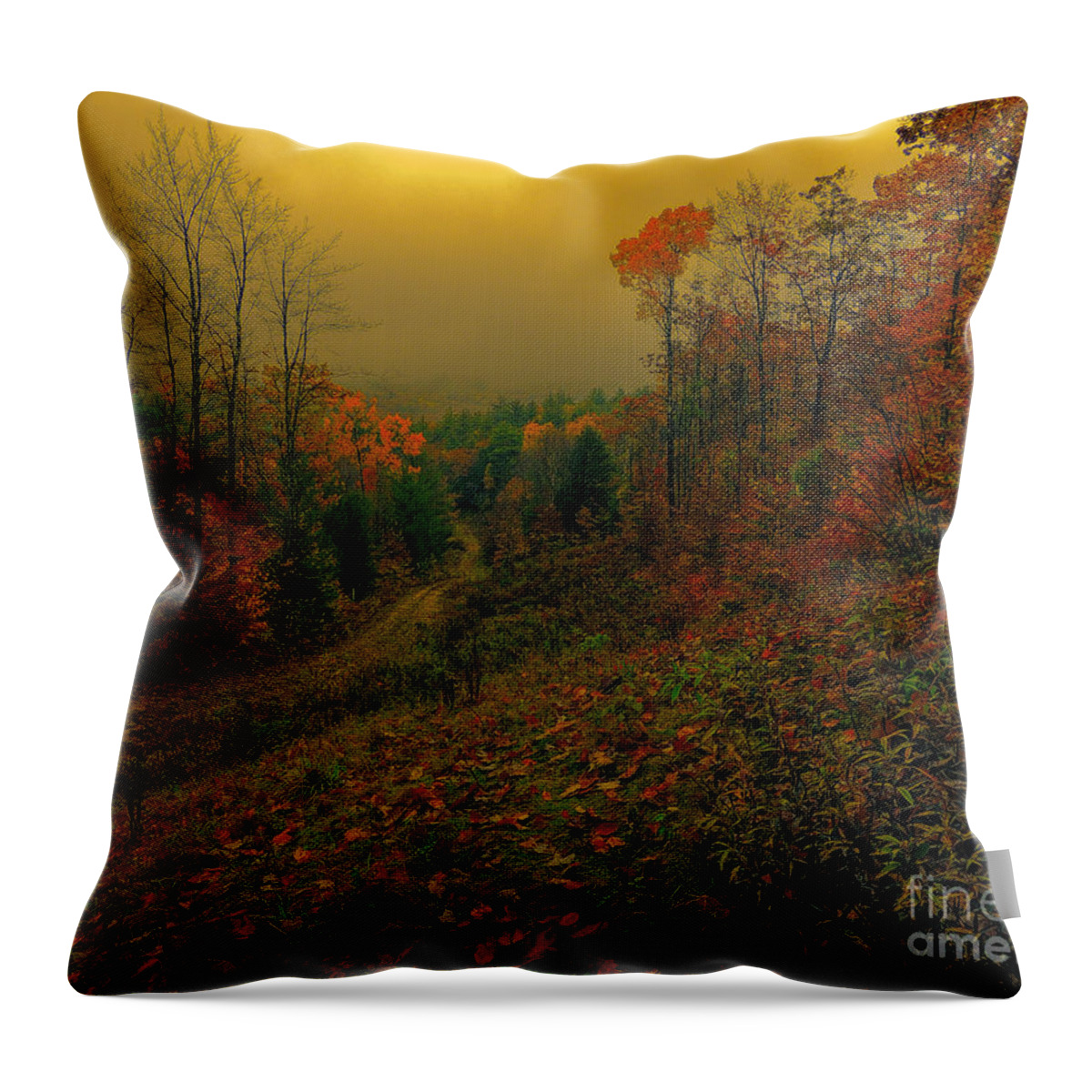 Road Throw Pillow featuring the photograph The Lonesome Road by Mim White