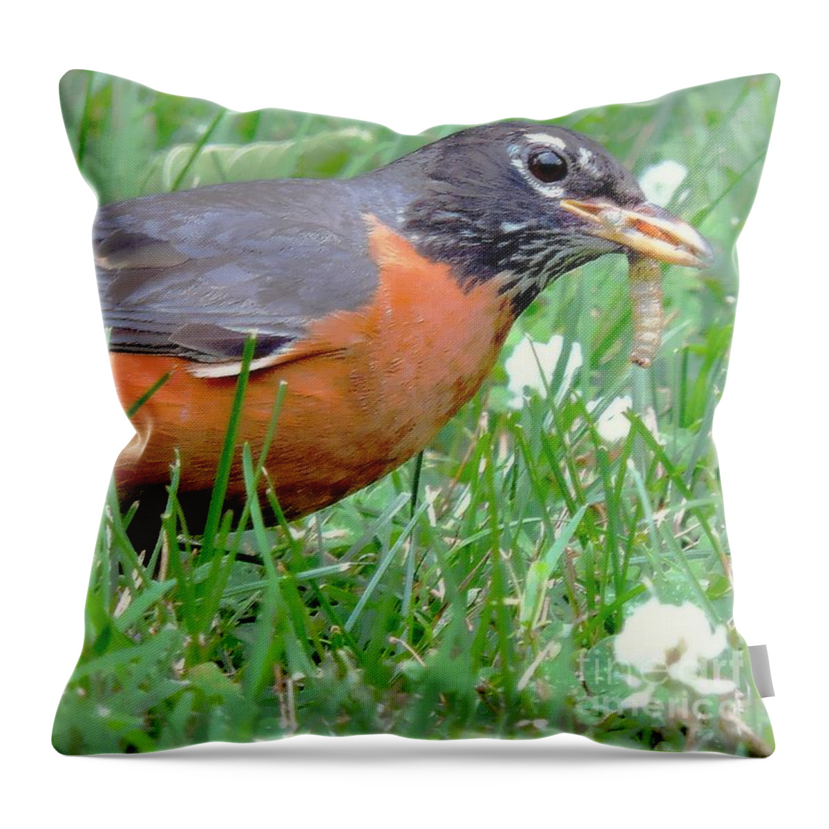Robin Throw Pillow featuring the photograph The Lucky Robin by Tami Quigley