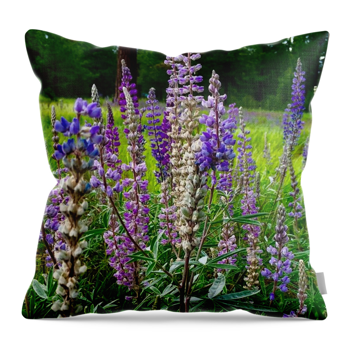 Lupines Throw Pillow featuring the photograph The Lupine Crowd by Jennifer Lake