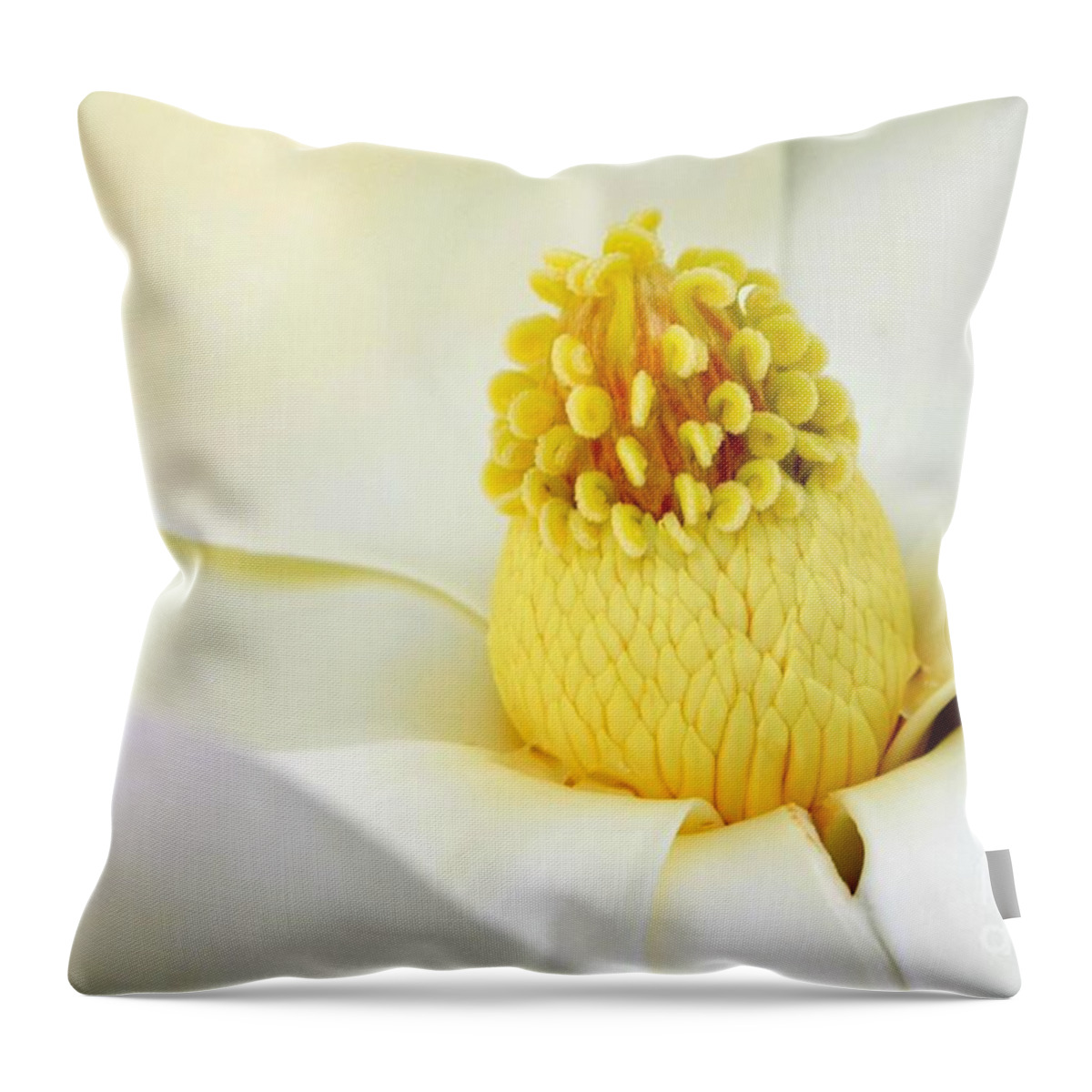 Magnolia Throw Pillow featuring the photograph The Luscious Magnolia by Mary Deal