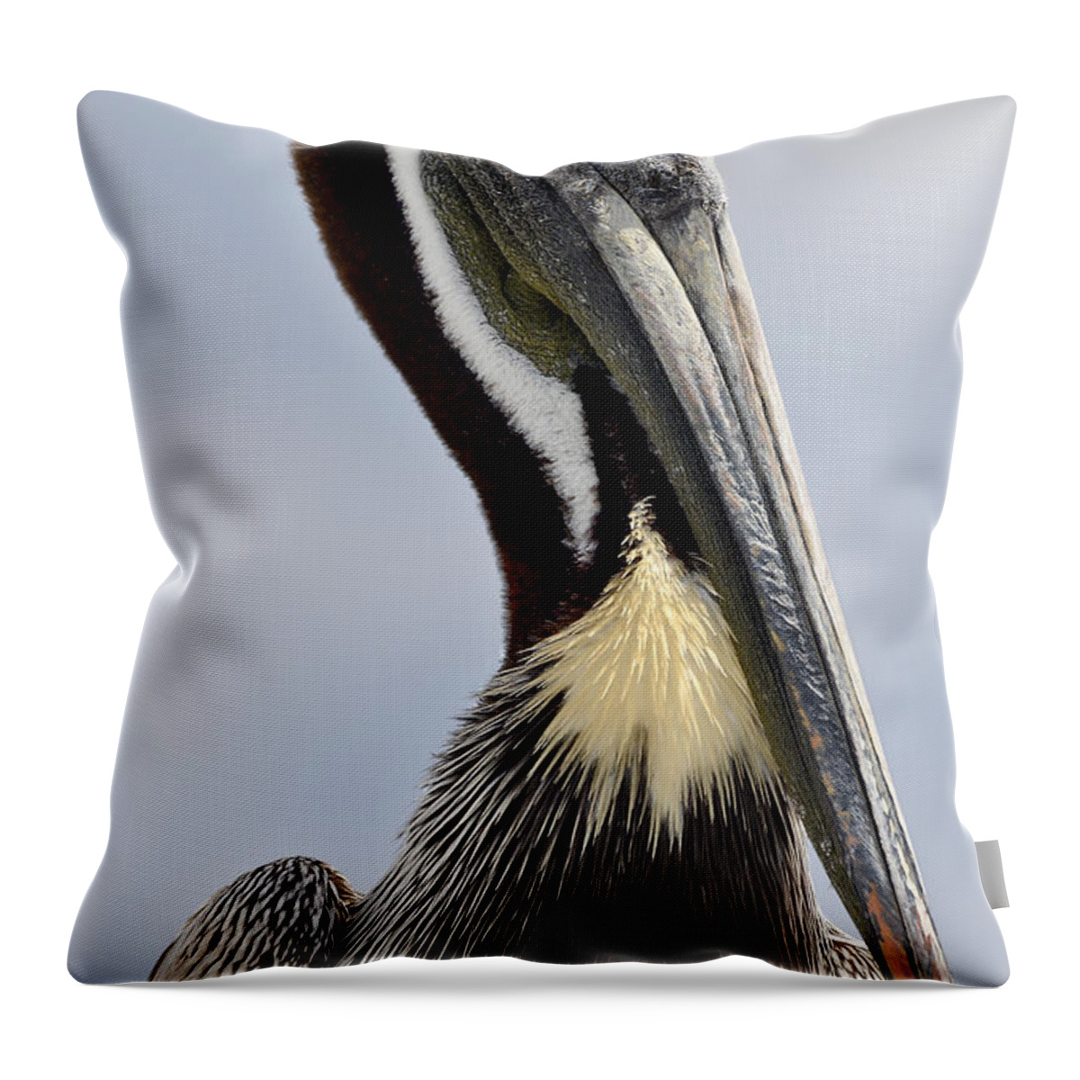 Original Throw Pillow featuring the photograph The Majestic Pelican by WAZgriffin Digital