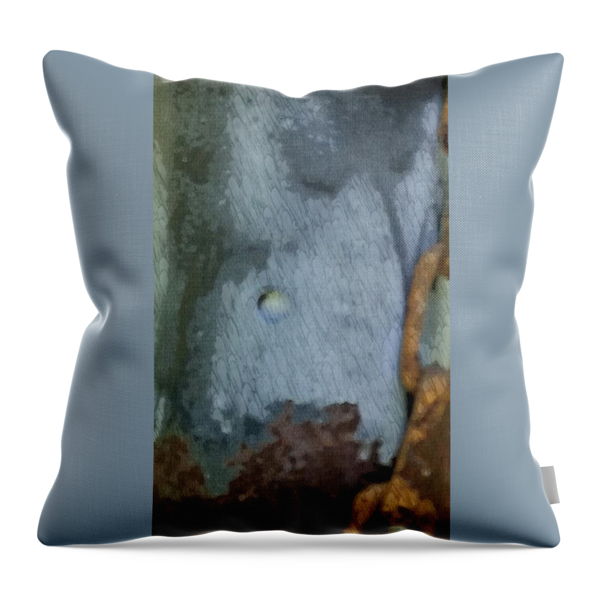 Steampunk Throw Pillow featuring the photograph The man in the mirror by Kimberly W