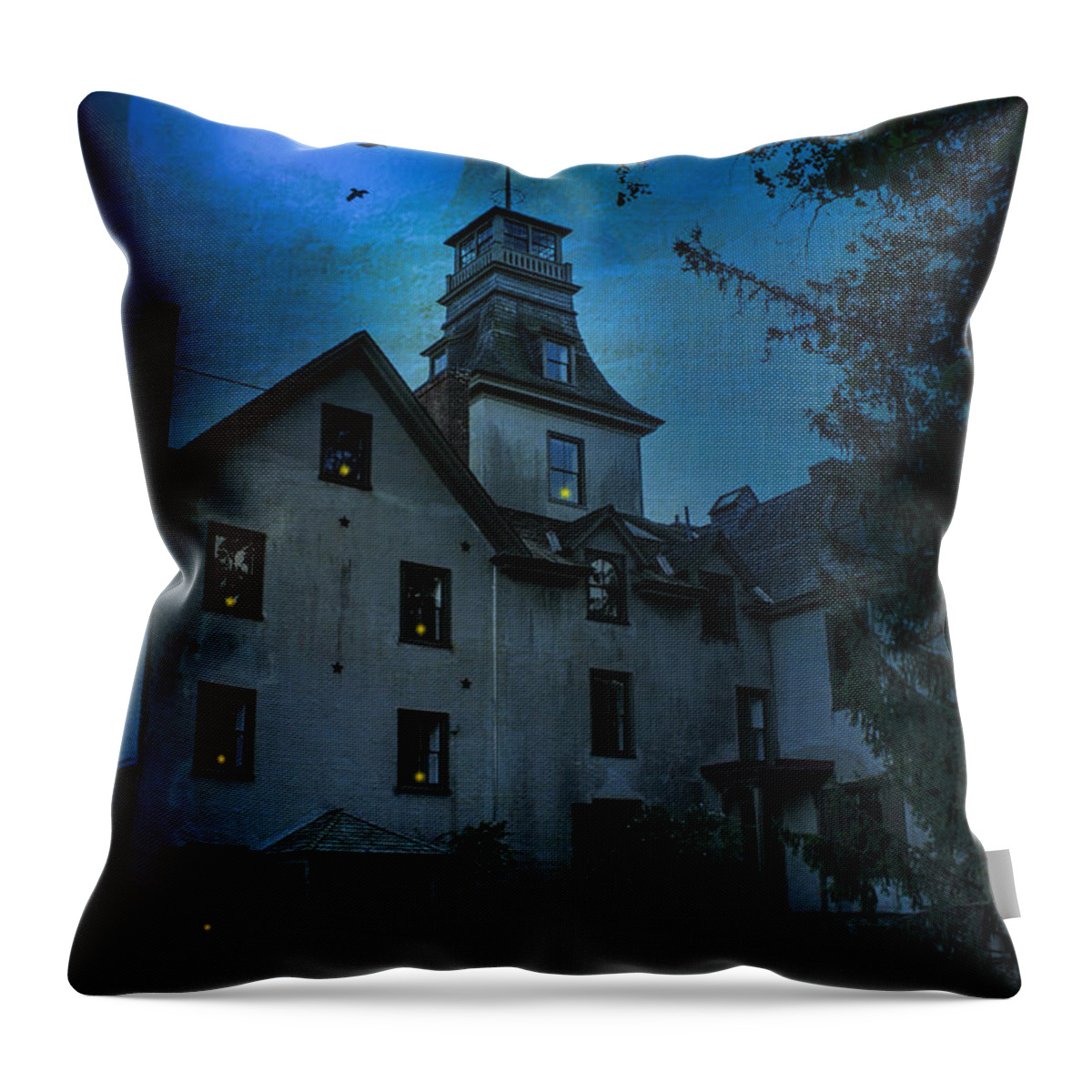 Mansion Throw Pillow featuring the photograph The Mansion at Batsto Village by John Rivera