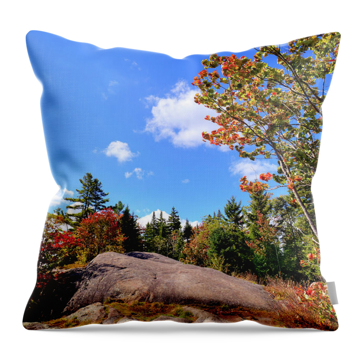 Landscapes Throw Pillow featuring the photograph The Maples on Bald Mountain by David Patterson