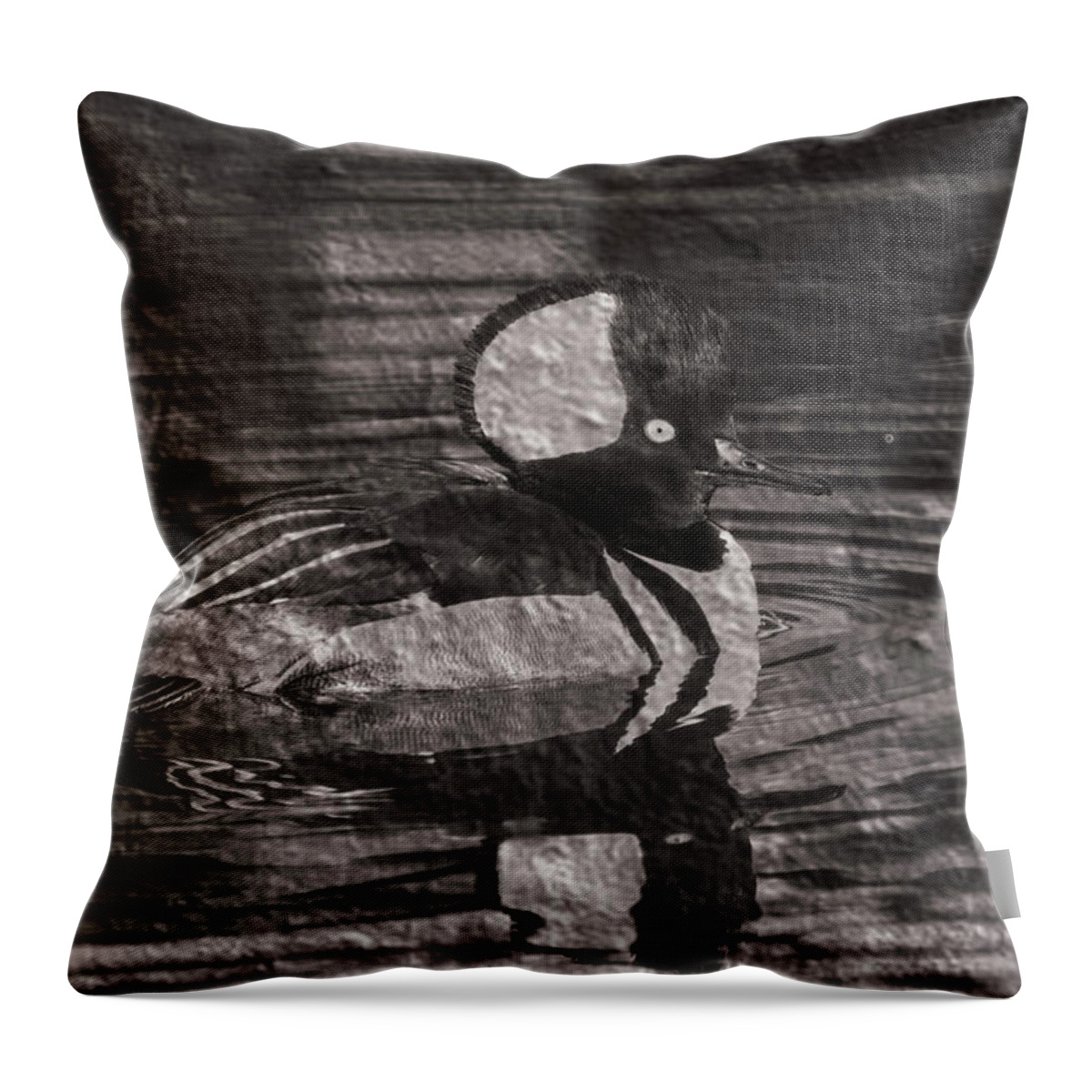 Hooded Merganser Throw Pillow featuring the photograph The Merganser by Ernest Echols