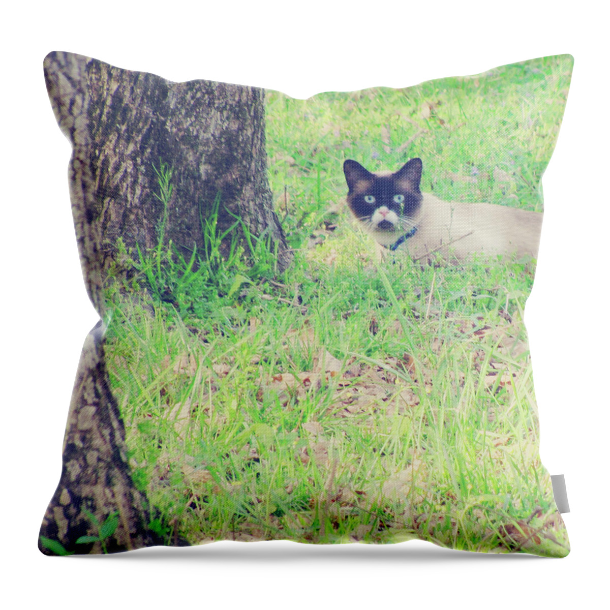 Siamese Cat Throw Pillow featuring the photograph The Mighty Hunter by Amy Tyler