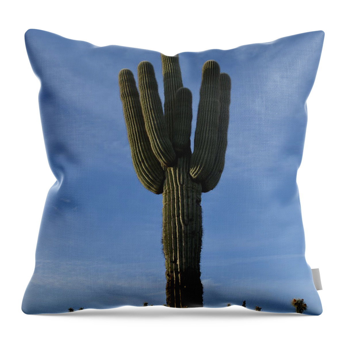 Saguaro Throw Pillow featuring the photograph The Mighty Saguaro by Aimee L Maher ALM GALLERY