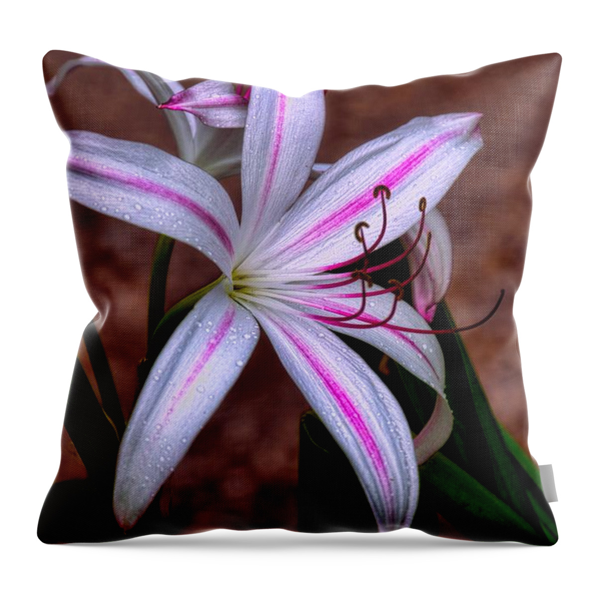 #dianamarysharptonphotography Throw Pillow featuring the photograph The Milk of Hera by Diana Mary Sharpton