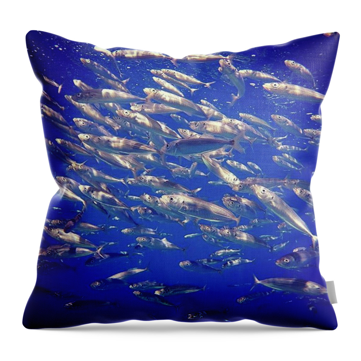 Fish Throw Pillow featuring the photograph The Mini-Mack by Elle Wanderluster