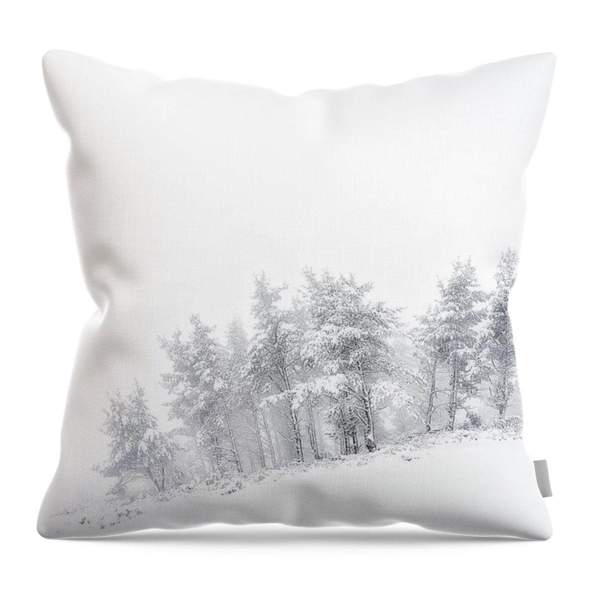 Winter Throw Pillow featuring the photograph The minimal forest by Mikel Martinez de Osaba