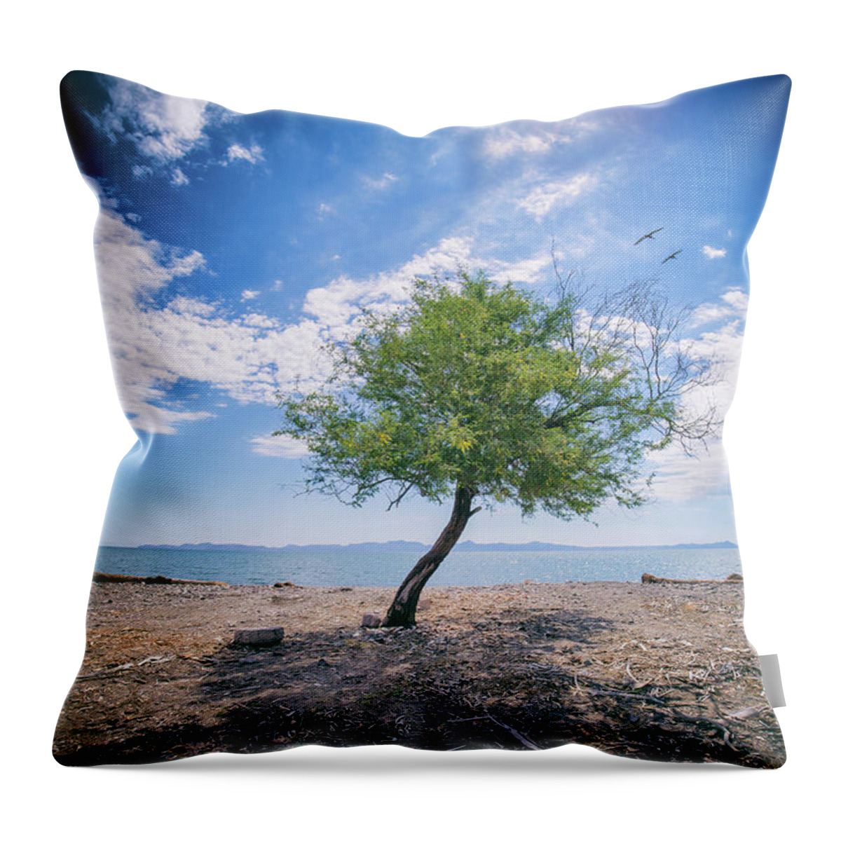 Tree Throw Pillow featuring the photograph The Mirage by Becqi Sherman