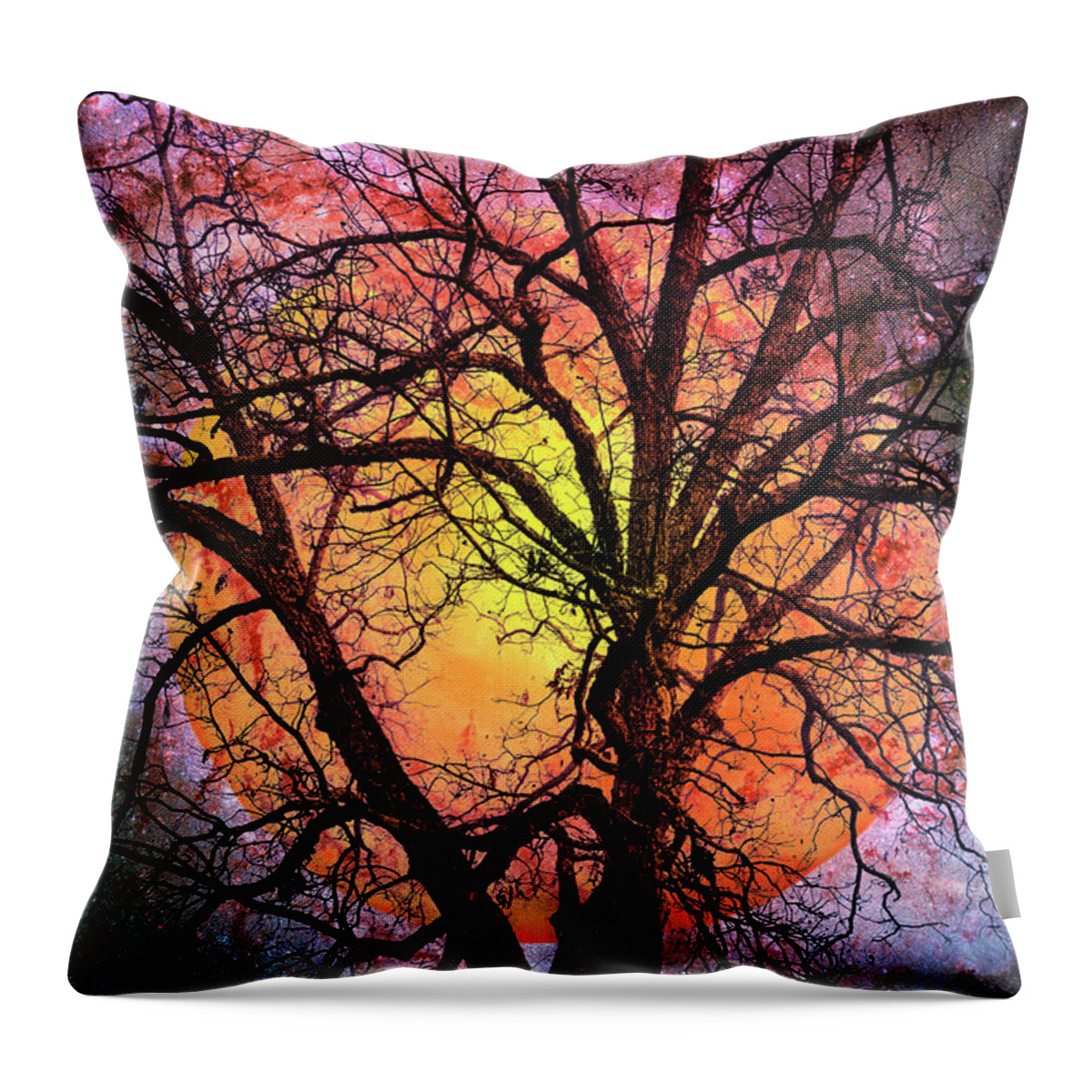 Appalachia Throw Pillow featuring the photograph The Moon and the Stars for You by Debra and Dave Vanderlaan