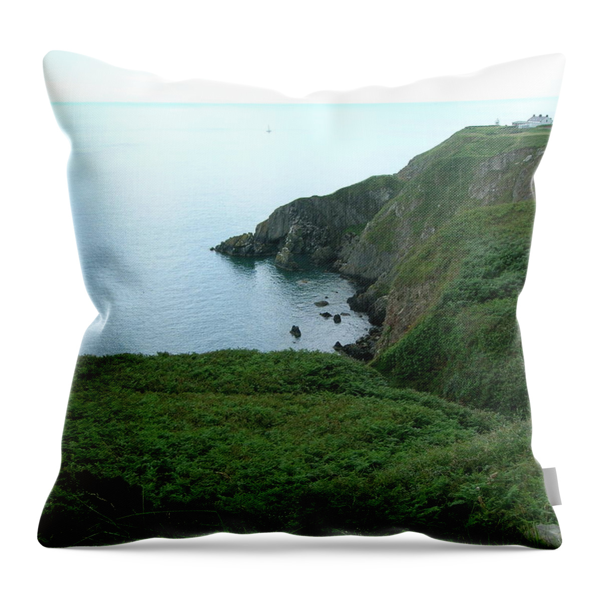 Moor Throw Pillow featuring the photograph The Moor by Tiziana Verso