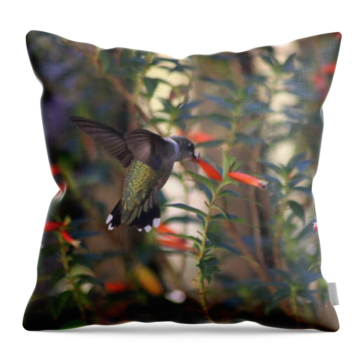 Hummingbird Throw Pillow featuring the photograph The Morning Whisper by Living Color Photography Lorraine Lynch