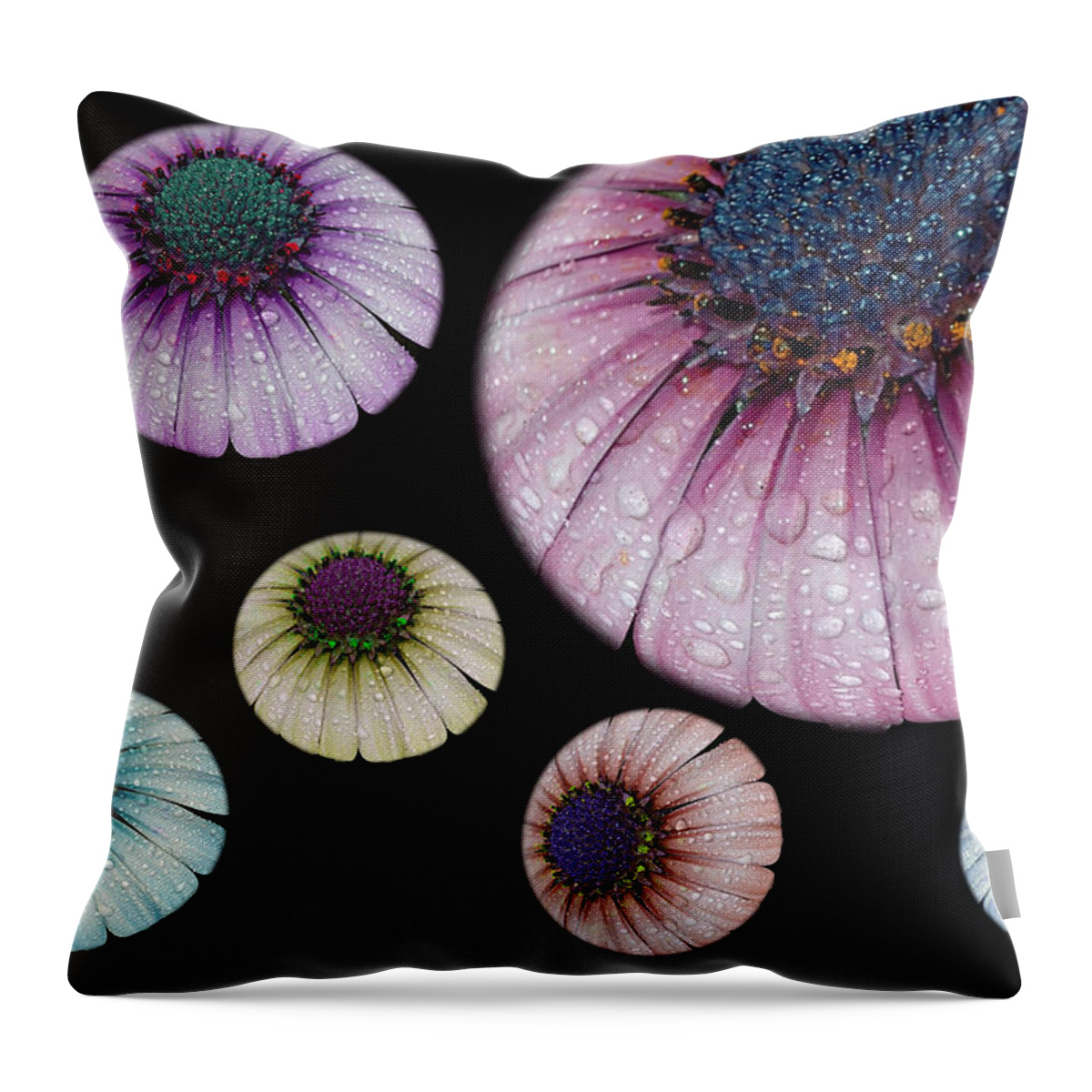Abstract Throw Pillow featuring the photograph The Mother Ship by Cathy Kovarik
