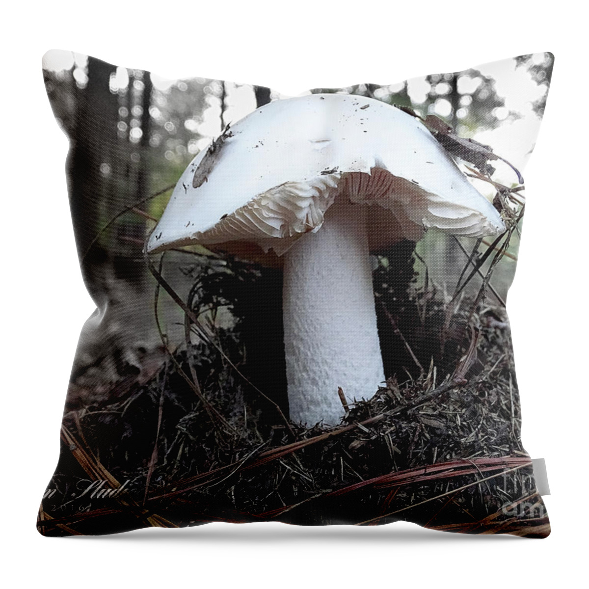 Photoshop Throw Pillow featuring the photograph The Mushroom by Melissa Messick