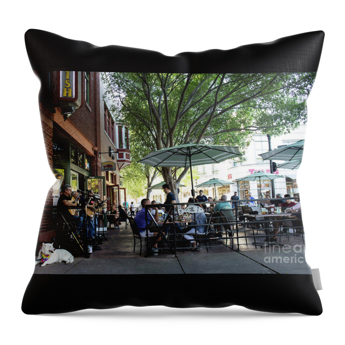 Dog Throw Pillow featuring the photograph The Musician's Dog by May Finch