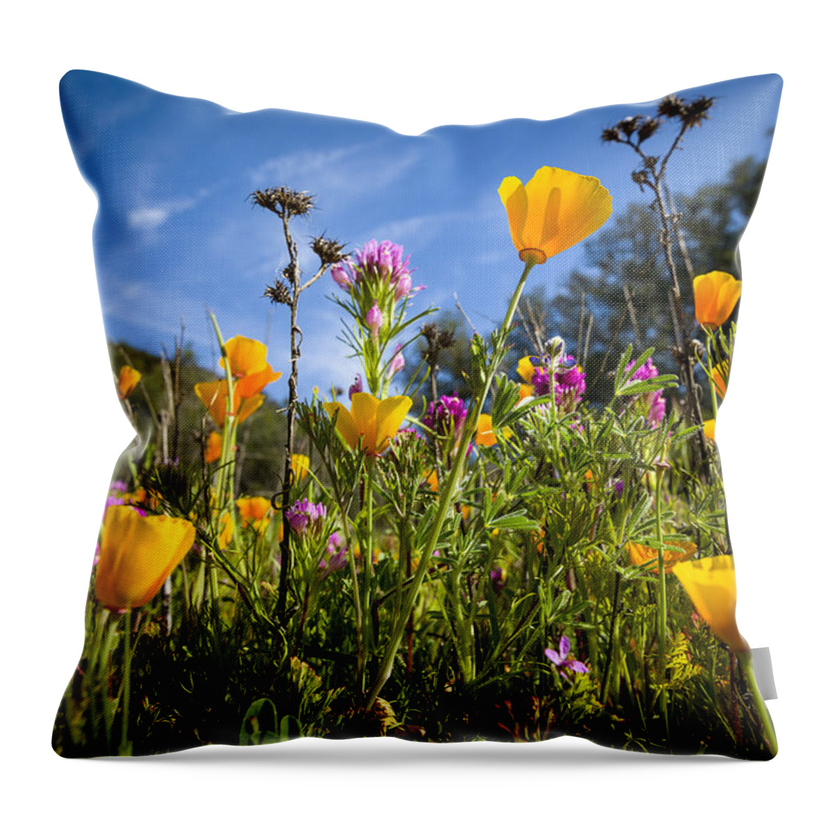 California Throw Pillow featuring the photograph The new pushes out the old. by Joe Doherty