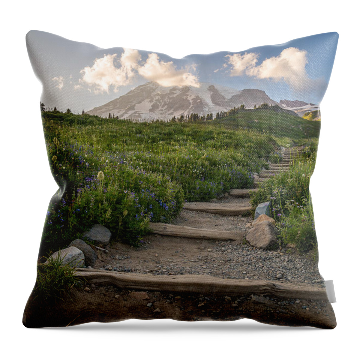 Mount Rainier Throw Pillow featuring the photograph The Next Step by Kristopher Schoenleber
